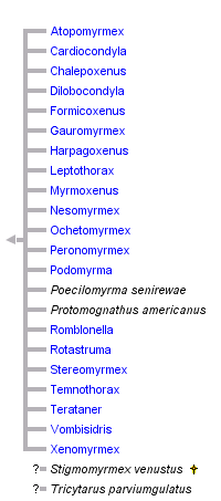 taxon links